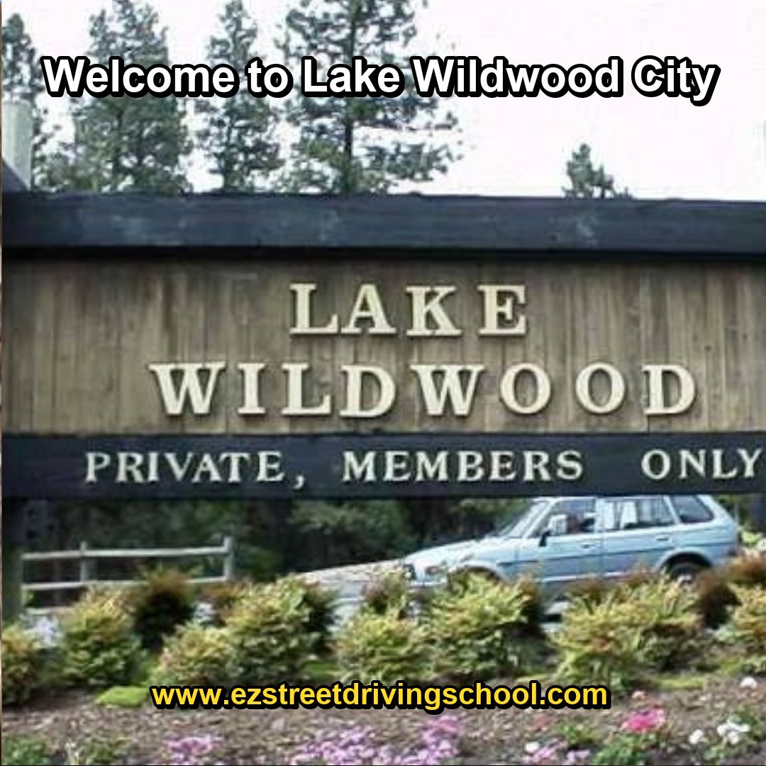 Driving Lessons in Lake Wildwood